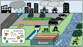 Graphical abstract: Field evaluation of a biochar-amended stormwater filtration system for retention of nutrients, metals, and Escherichia coli