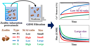 Graphical abstract: Removal of calcium from water by zeolites with gravity-driven membrane filtration for water treatment without electricity