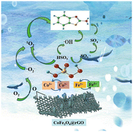 Graphical abstract: Microwave irradiation synthesis of CoFe2O4/rGO to activate peroxymonosulfate for the degradation of 2-aminobenzothiazole in water