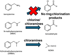 Graphical abstract: Degradation of benzylamines during chlorination and chloramination