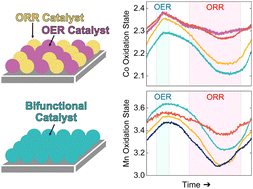 Graphical abstract: Designing bifunctional perovskite catalysts for the oxygen reduction and evolution reactions