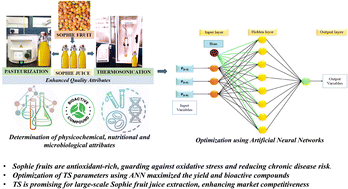 Graphical abstract: Computational modeling for the enhancement of thermosonicated Sohphie (Myrica esculenta) fruit juice quality using artificial neural networks (ANN) coupled with a genetic algorithm