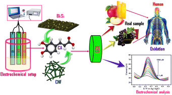 Graphical abstract: Rapid detection of caffeic acid in food beverages using a non-enzymatic electrochemical sensor based on a Bi2S3/CNF nanocomposite