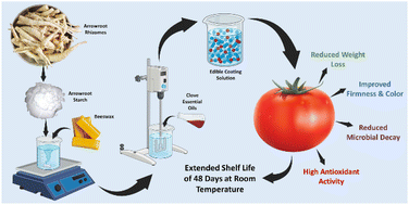 Graphical abstract: Clove essential oil emulsions-loaded arrowroot starch-beeswax-based edible coating extends the shelf life and preserves the postharvest quality of fresh tomatoes (Solanum lycopersicum L.) stored at room temperature