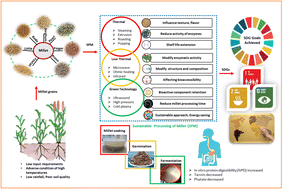 Graphical abstract: Millets as supergrains: a holistic approach for sustainable and healthy food product development