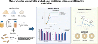 Graphical abstract: Use of whey for a sustainable production of postbiotics with potential bioactive metabolites