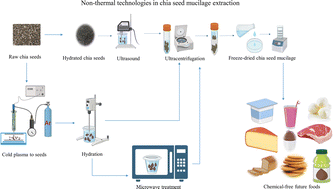 Graphical abstract: Prospects of using non-thermal technologies for chia seed mucilage extraction