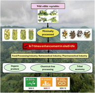 Graphical abstract: Effects of brining and standardized drying on the composition, shelf stability, microbial safety and antioxidant status of four wild edible vegetables