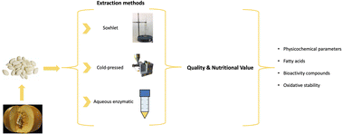 Graphical abstract: Comparison of quality and oxidative stability of pumpkin seed (Cucurbita maxima) oil between conventional and enzymatic extraction methods