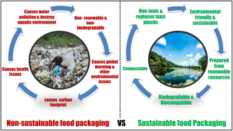Graphical abstract: Advancements in sustainable food packaging: from eco-friendly materials to innovative technologies