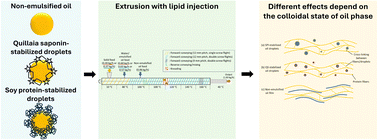 Graphical abstract: Effect of oil–water colloidal states in liquid feeds on extrudability and textural attributes of high-moisture meat alternatives