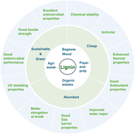 Graphical abstract: Lignin-derived bionanocomposites as functional food packaging materials