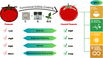 Graphical abstract: Development and characterization of bael (Aegle marmelos) leaf extract incorporated chitosan-based functional edible coating and its application on stored tomatoes