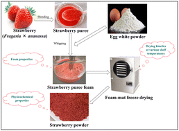 Graphical abstract: Efficient freeze-drying of foamed strawberry puree: a study on drying kinetics and physicochemical properties