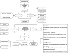 Graphical abstract: A review on the extraction of polyphenols from pomegranate peel for punicalagin purification: techniques, applications, and future prospects