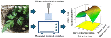 Graphical abstract: Comparative modeling of microwave and ultrasound assisted extraction of phenolics and berberine from Coptis teeta Wall. rhizomes