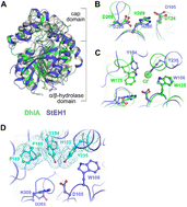 Graphical abstract: High-throughput selection of (new) enzymes: phage display-mediated isolation of alkyl halide hydrolases from a library of active-site mutated epoxide hydrolases