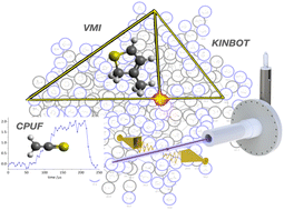 Graphical abstract: Reaction dynamics of S(3P) with 1,3-butadiene and isoprene: crossed-beam scattering, low-temperature flow experiments, and high-level electronic structure calculations