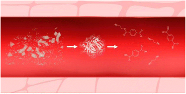 Graphical abstract: Degradation of PET microplastic particles to monomers in human serum by PETase