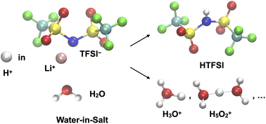 Graphical abstract: Speciation of the proton in water-in-salt electrolytes