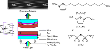 Graphical abstract: Wave mechanics in an ionic liquid mixture