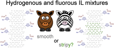 Graphical abstract: Chain-length dependent organisation in mixtures of hydrogenous and fluorous ionic liquids