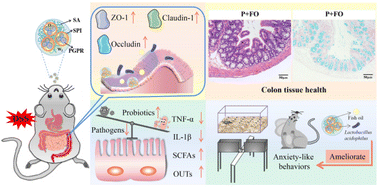 Graphical abstract: Effectiveness of probiotic- and fish oil-loaded water-in-oil-in-water (W1/O/W2) emulsions at alleviating ulcerative colitis