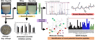Graphical abstract: Exploring peptidomes of by-products generated during chhurpi production using Lactobacillus delbrueckii WS4 for identification of novel bioactive peptides