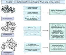 Graphical abstract: Inhibitory effect of extracts from edible parts of nuts on α-amylase activity: a systematic review
