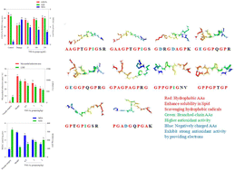 Graphical abstract: Preparation of antioxidant peptides from yak skin gelatin and their protective effect on myocardial ischemia reperfusion injury