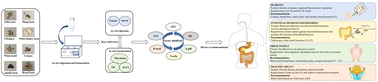 Graphical abstract: In vitro digestion and fermentation characteristics of eight kinds of pulses and suggestions for different populations