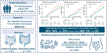 Graphical abstract: Greater adherence to the Mediterranean Dietary Approaches to Stop Hypertension Intervention for Neurodegenerative Delay (MIND) diet is associated with lower risk of inflammatory bowel disease: a prospective cohort study