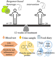Graphical abstract: Chronic consumption of a bergamot-based beverage does not affect glucose, lipid and inflammatory biomarkers of cardiometabolic risk in healthy subjects: a randomised controlled intervention study