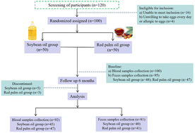 Graphical abstract: Effects of long-term intake of carotenoid-enriched eggs on healthy people: a randomized controlled study