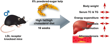 Graphical abstract: Dietary sugar kelp (Saccharina latissima) consumption did not attenuate atherosclerosis in low-density lipoprotein receptor knockout mice