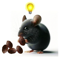 Graphical abstract: Diet enriched with high-phenolic cocoa potentiates hippocampal brain-derived neurotrophic factor expression and neurogenesis in healthy adult micewith subtle effects on memory
