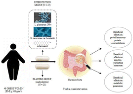 Graphical abstract: Beneficial effects of a new probiotic formulation on adipocytokines, appetite-regulating hormones, and metabolic parameters in obese women