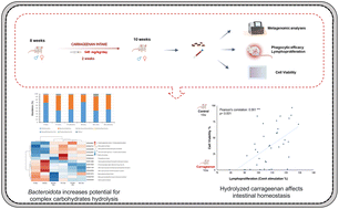 Graphical abstract: Influence of consumption of the food additive carrageenan on the gut microbiota and the intestinal homeostasis of mice