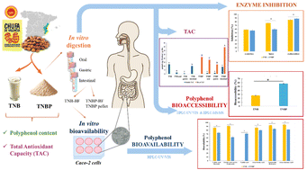 Graphical abstract: Potential bioaccessibility and bioavailability of polyphenols and functional properties of tiger nut beverage and its by-product during in vitro digestion