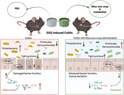 Graphical abstract: Miao sour soup alleviates DSS-induced colitis in mice: modulation of gut microbiota and intestinal barrier function