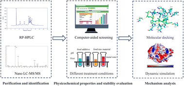 Graphical abstract: Identification, screening and molecular mechanisms of natural stable angiotensin-converting enzyme (ACE) inhibitory peptides from foxtail millet protein hydrolysates: a combined in silico and in vitro study