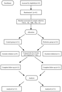 Graphical abstract: Effects of Lactiplantibacillus plantarum CCFM1214 and Ligilactobacillus salivarius CCFM1215 on halitosis: a double-blind, randomized controlled trial