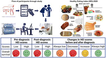 Graphical abstract: Association between pre- and post-diagnosis healthy eating index 2020 and ovarian cancer survival: evidence from a prospective cohort study