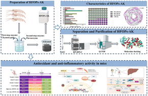 Graphical abstract: Typical structural characteristics and hepatoprotective effects of novel high Fischer ratio oligopeptides from Antarctic krill on acute alcoholic liver injury