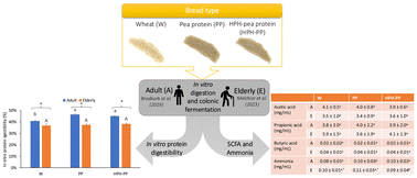 Graphical abstract: Effect of high pressure homogenization on in vitro digestibility and colon fermentability of pea protein-rich bread designed for elderly consumers