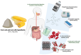 Graphical abstract: Corn cob and corn silk-based ingredients possess bioaccessible and antioxidant phenolic compounds displaying anti-inflammatory effects in vitro