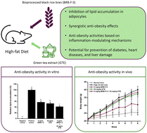 Graphical abstract: Anti-obesity and other health benefits of bioprocessed black rice bran in combination with green tea extract in 3T3-L1 preadipocyte cells and in mice on a high-fat diet