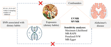 Graphical abstract: Causal relationship between dietary habits and Alzheimer's disease risk: a univariable and multivariable Mendelian randomization study