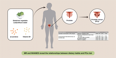 Graphical abstract: Relationships of dietary habits with prostate cancer risk: results from Mendelian randomization analyses and the National Health and Nutrition Examination Survey