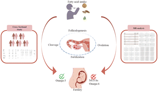 Graphical abstract: Association between fatty acids and female infertility: dual evidence from a cross-sectional study and Mendelian randomization analysis